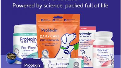 petbucket-coupon-code-pbk13409906-–-save-10%-on-pet-medications-you-can-trust