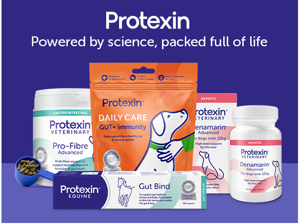 petbucket-coupon-code-pbk13409906-–-save-10%-on-pet-medications-you-can-trust
